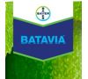 Batavia 1 liter/fles