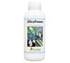 SilicaPower silicium 1 liter